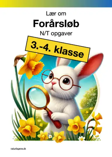 Illustration til undervisningsforløbet om Forårsløb